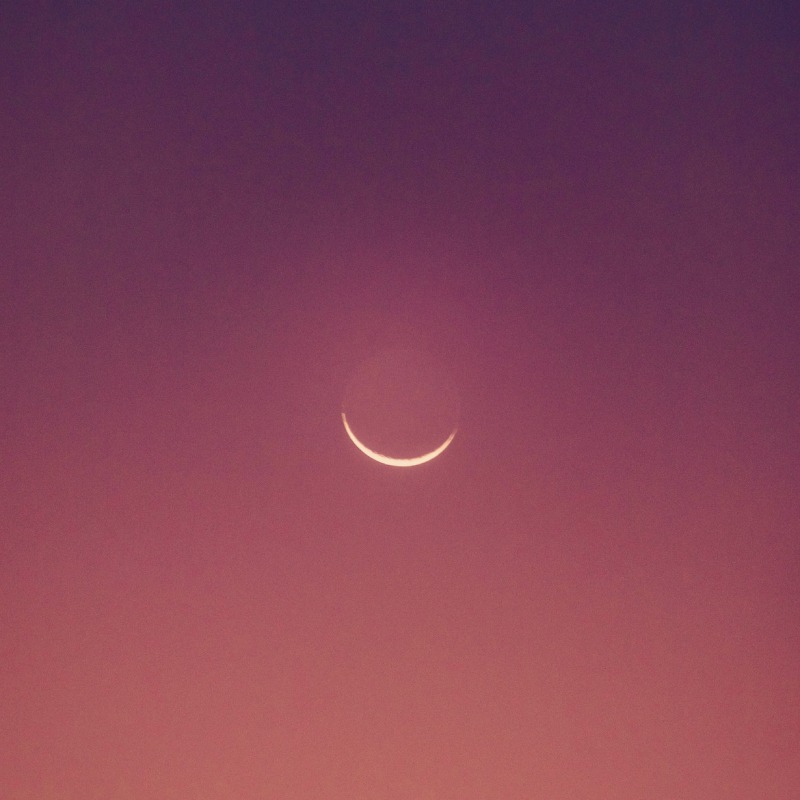 Pochette : Le Temps des Aimants